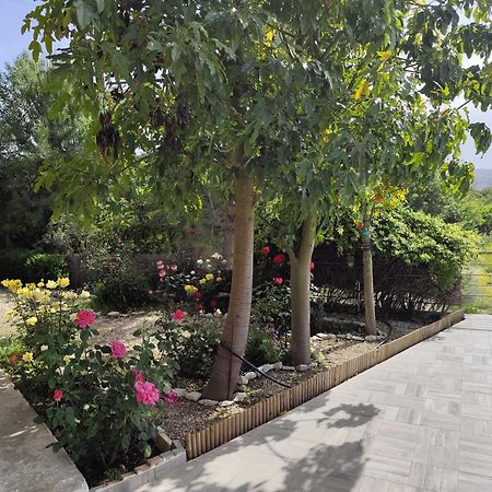 Roses Villa Trimiklini Exterior foto