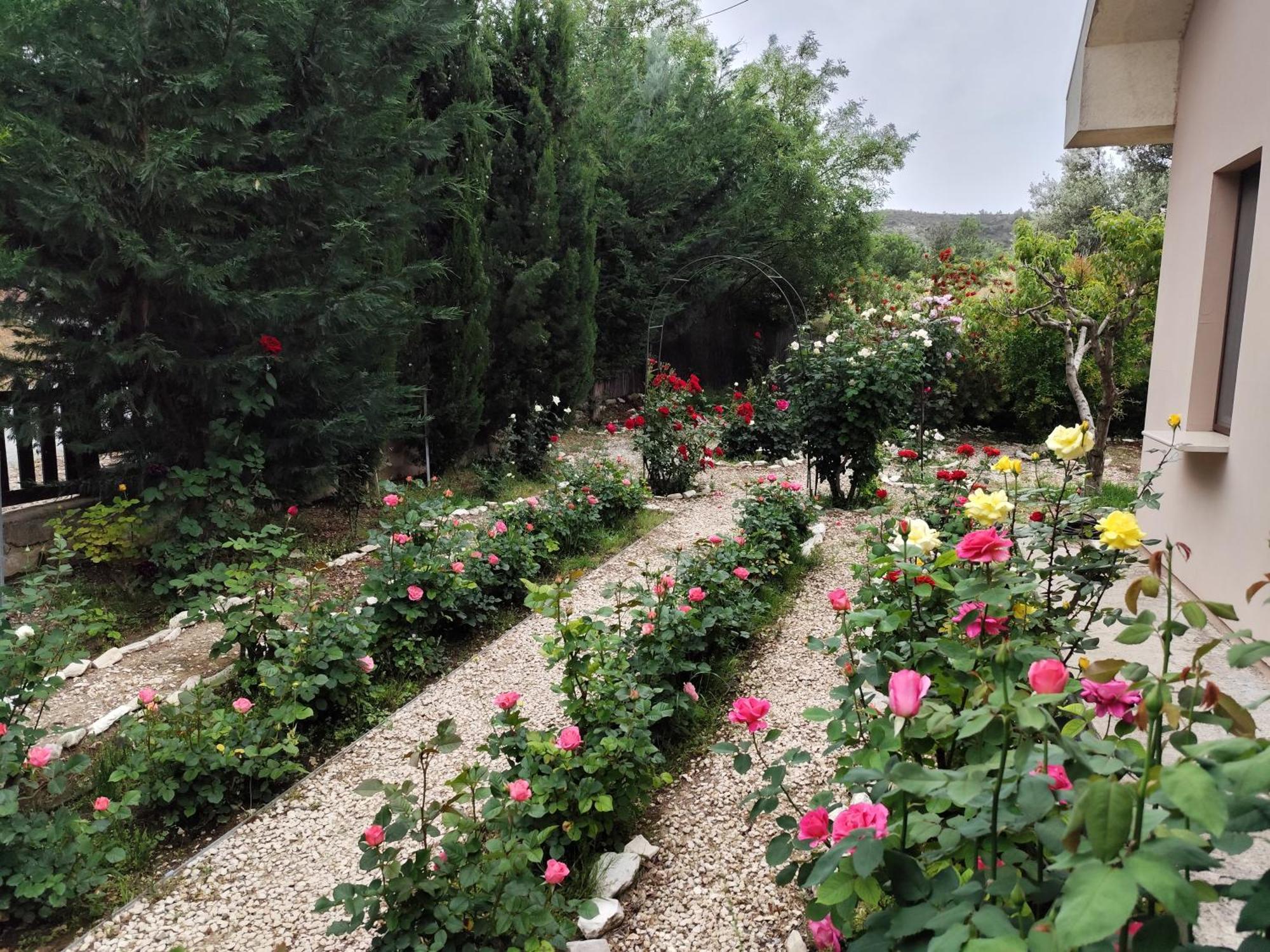Roses Villa Trimiklini Exterior foto